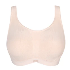 The Gym Sport BH -Frau Unterwäsche Laden 6000410ven 2