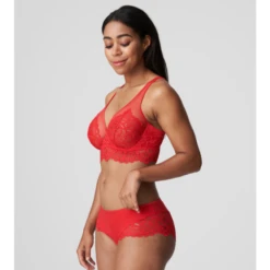 First Night Hotpants -Frau Unterwäsche Laden firstnighthotpants4 0541882pda