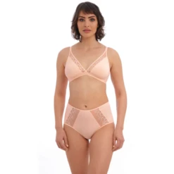 Lisse Taillenslip -Frau Unterwäsche Laden lissetailleslip4 we145008pcb