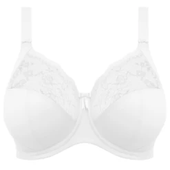 Morgan Bügel BH 7 Morgan Bügel BH -Frau Unterwäsche Laden morgan beugel bh 0 el4111whe 1