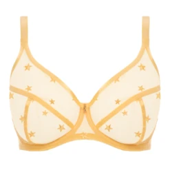 Snapshot Star Plunge BH