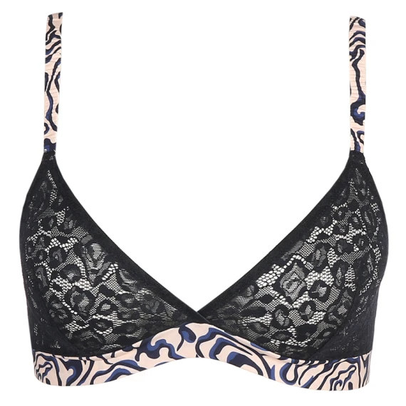 Xavier Triangle BH 1 Xavier Triangle BH